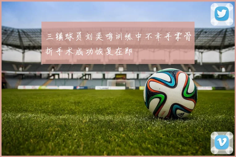 三镇球员刘奕鸣训练中不幸手掌骨折手术成功恢复在即