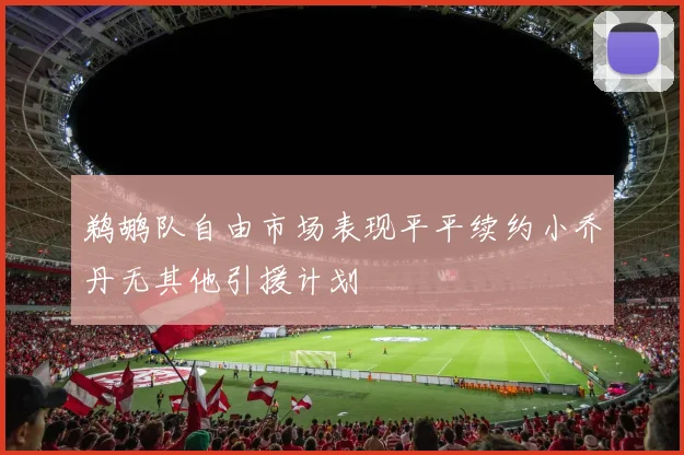 鹈鹕队自由市场表现平平续约小乔丹无其他引援计划